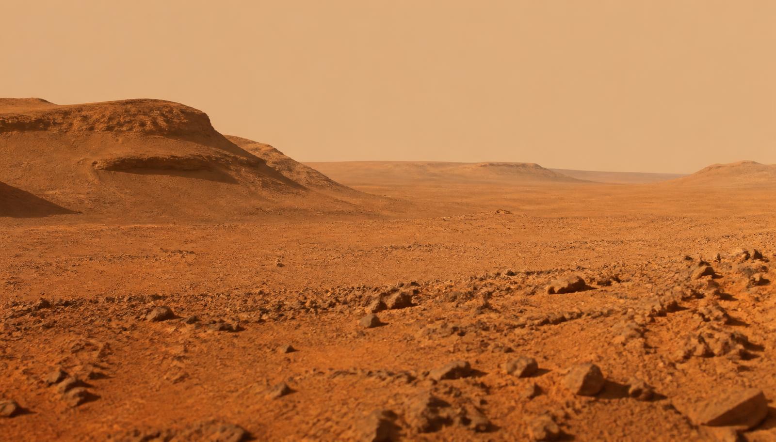 The surface of Mars under a pale dusty sky